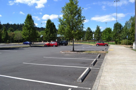 Large main parking lot with accessible parking spaces past the small tree